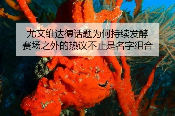 you-wen-wei-da-de-hua-ti-wei-he-chi-xu-fa-jiao-sai-chang-zhi-wai-de-re-yi-bu-zhi-shi-ming-zi-zu-he-2-983.jpg